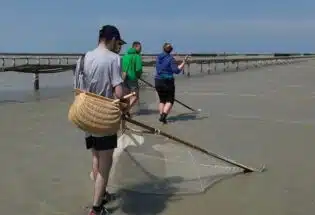 https://lafeecocoon.com/rando-initiation-peche-a-pied-crevettes-cie-en-baie-du-mont-saint-michel/